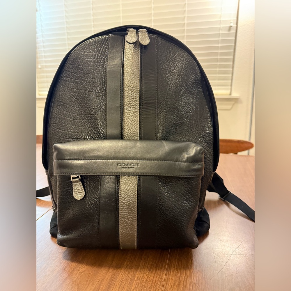 Coach Black and Gray Striped Leather Backpack